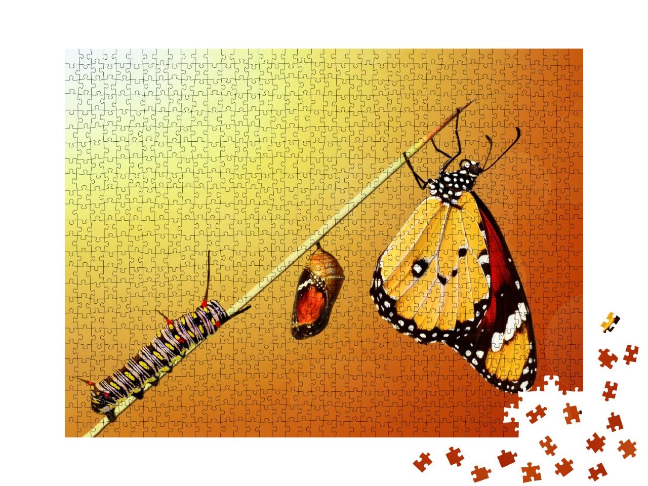Puzzle 1000 Teile „Die Transformation eines Schmetterlings“