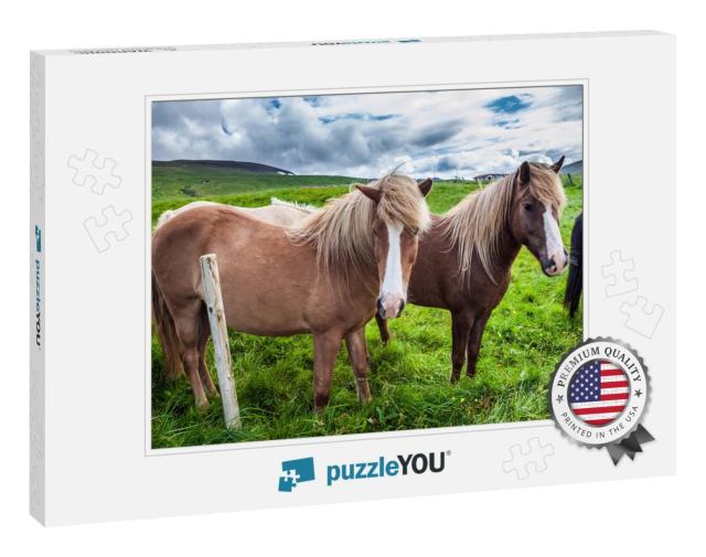 Herd of Beautiful Horses Grazes in the Green Tall Grass o... Jigsaw Puzzle