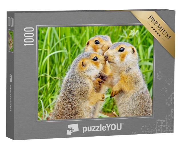 Puzzel 1000 stukjes „Eekhoorn“