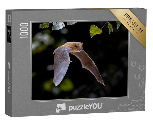 Puzzel 1000 stukjes „Pipistrelle vleermuis vliegend door het bos“