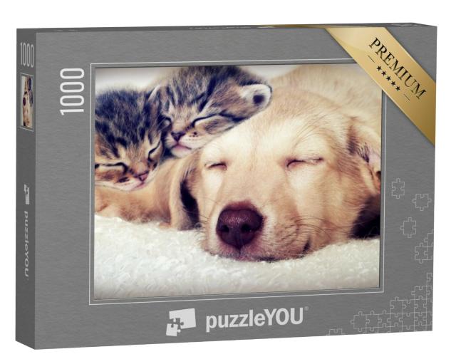 Puzzel 1000 stukjes „Puppy en kitten slapen“