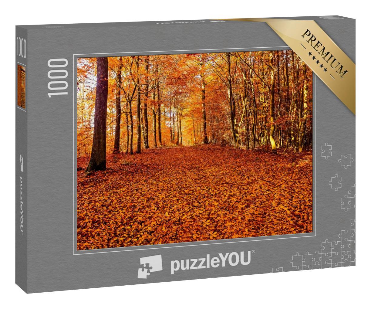 Puzzle 1000 Teile „Eine Straße aus Herbstlaub im Wald“