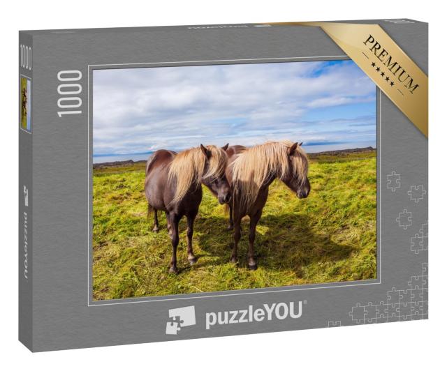 Puzzle „Island-Pferde in der sommerlichen Thundra von Island“
