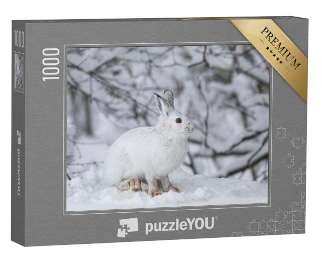 Puzzel 1000 stukjes „Witte berghaas in de Canadese winter“