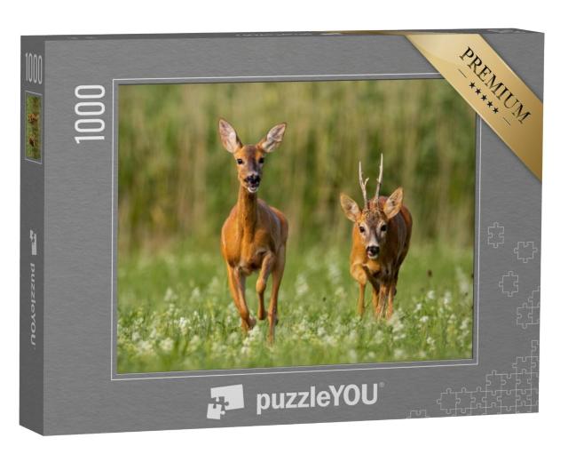 Puzzel 1000 stukjes „Bok en hinde op een groene weide“