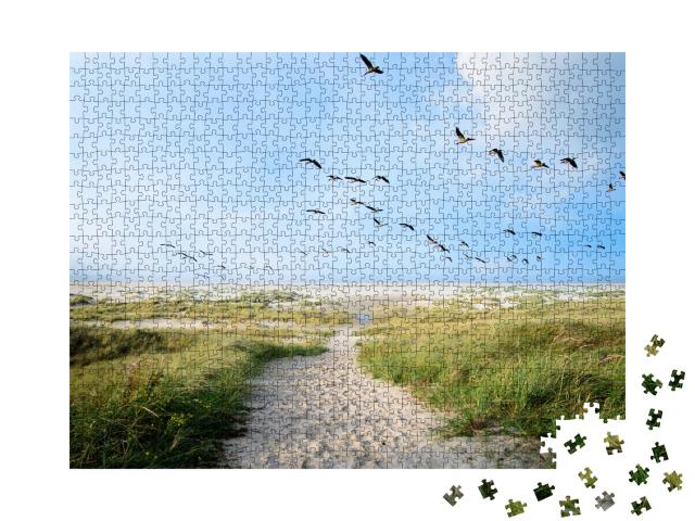 Puzzle 1000 Teile „Ein großer Schwarm Löffelenten über den Dünen von Langeoog, Deutschland“
