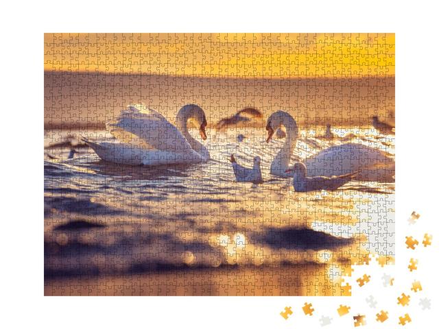 Puzzle 1000 Teile „Weiße Schwäne und Möwen im Sonnenaufgang über dem Meer“