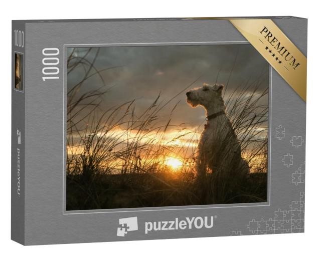 Puzzel 1000 stukjes „Draadharige foxterriër in de zonsondergang“