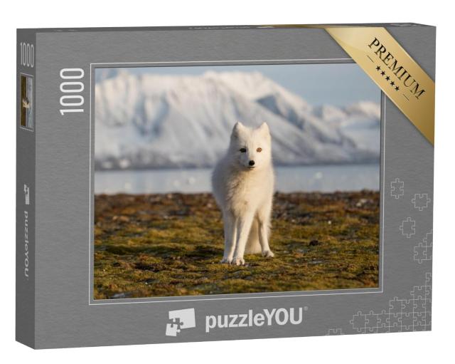 Puzzel 1000 stukjes „Poolvos in de stralen van de zonsondergang“