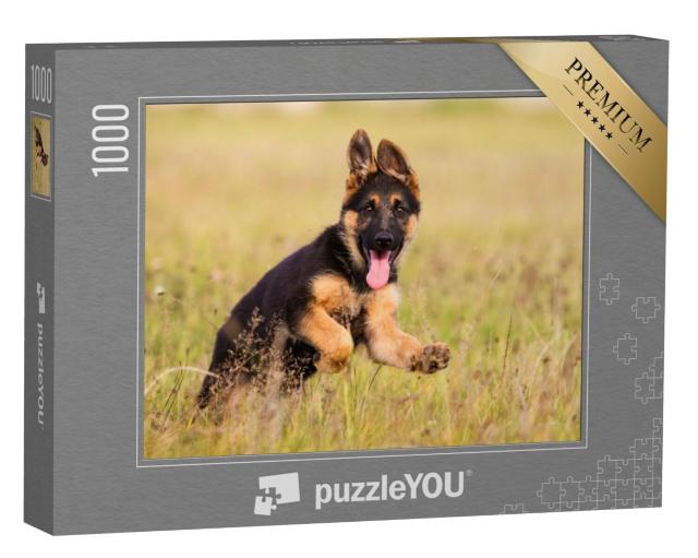 Puzzel 1000 stukjes „Duitse herder puppy rent door het gras“