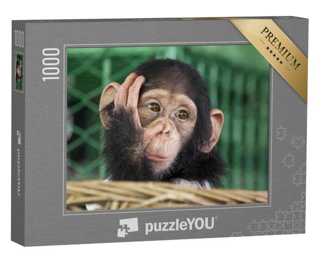 Puzzel 1000 stukjes „Een kleine chimpansee“