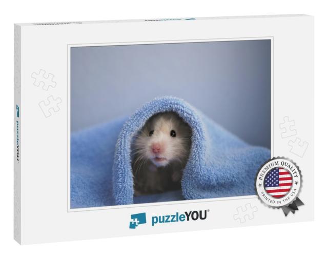 A Hamster in a Blue Towel. Blue Background... Jigsaw Puzzle