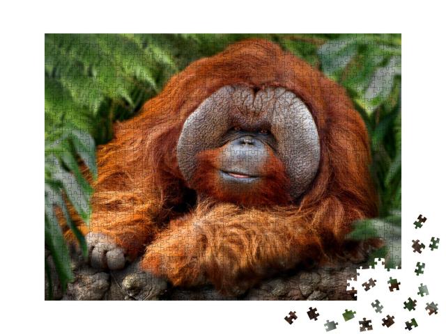 Puzzle 1000 Teile „Tropischer Regenwald mit Orang-Utans“