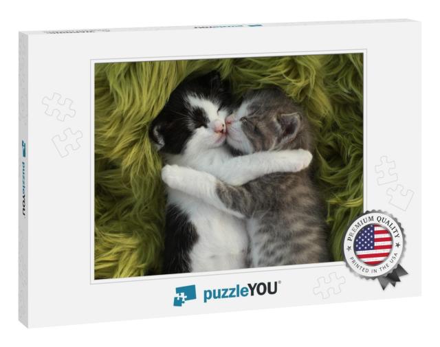 Cute Little Kittens Outdoors in Natural Light... Jigsaw Puzzle