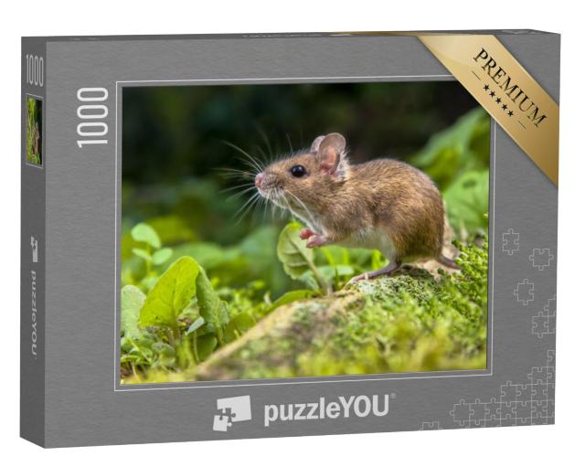 Puzzel 1000 stukjes „Schattig muisje in het bos“