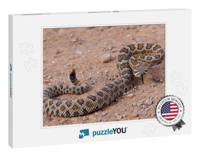 Dangerous Rattle Snake, Coiled & Ready to Strike - Great... Jigsaw Puzzle