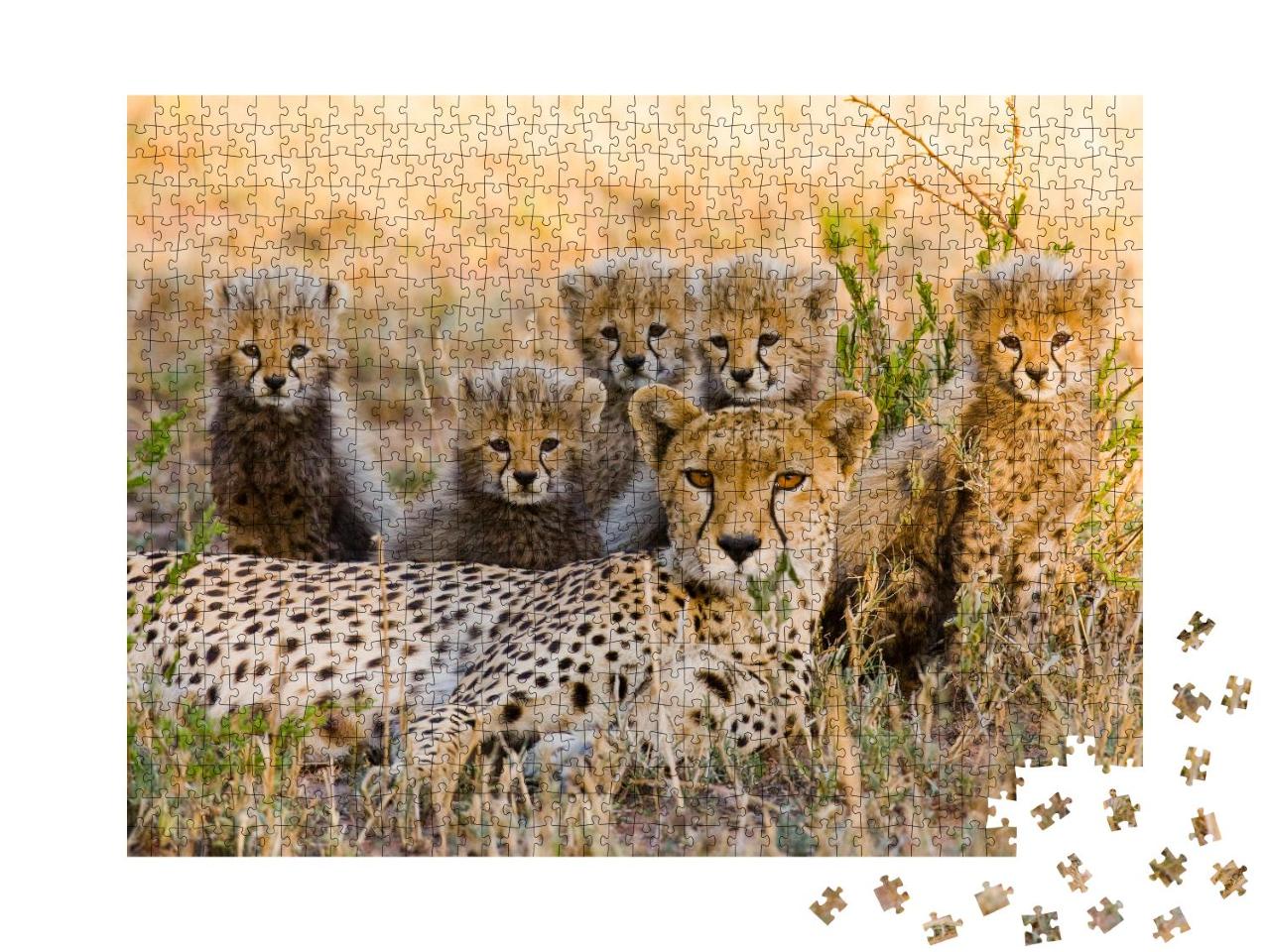 Puzzle 1000 Teile „Gepardenmutter und ihre Jungtiere in der Savanne, Kenia“