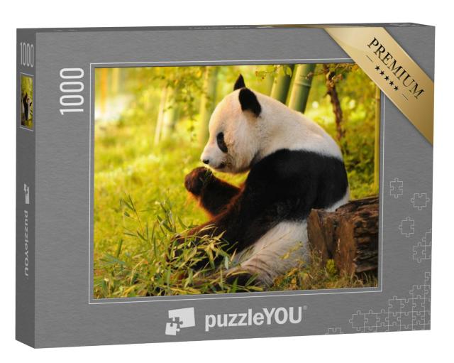 Puzzel 1000 stukjes „Reuzenpanda eet bamboe“