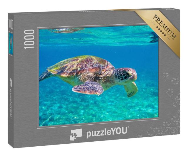 Puzzle 1000 Teile „Meeresschildkröte“