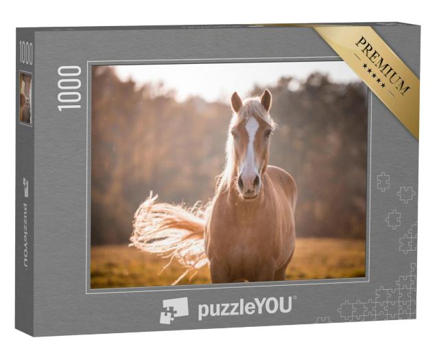 Puzzel 1000 stukjes „Haflingerpaard met witte bles“