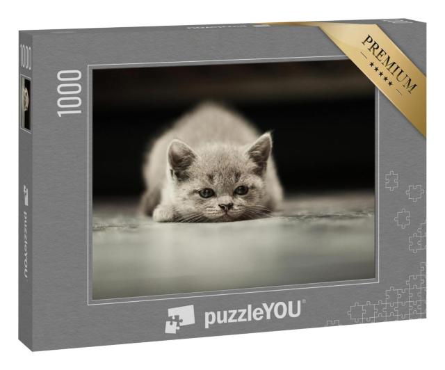 Puzzle 1000 Teile „Eine kleine Katze“