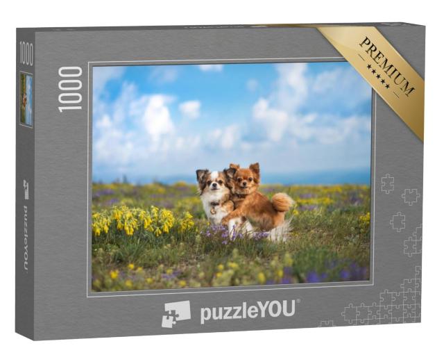 Puzzel 1000 stukjes „Chihuahua op de groene weide“