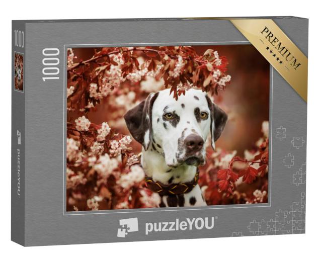 Puzzel 1000 stukjes „Mooie dalmatiër“