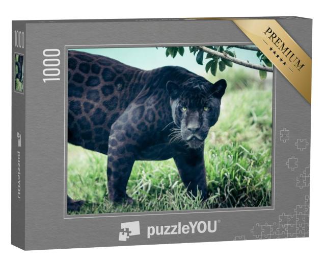 Puzzel 1000 stukjes „Zwarte Panter“