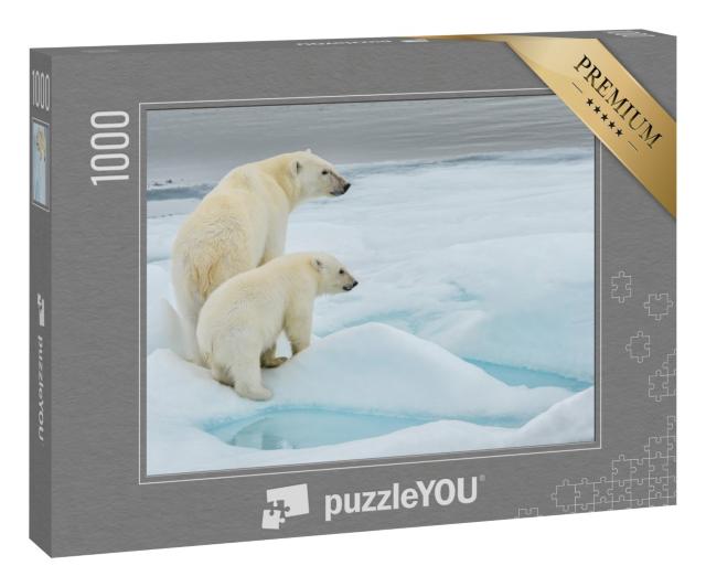 Puzzle 1000 Teile „Eisbärenmutter und -junges auf einer Eisscholle im arktischen Ozean, Norwegen“