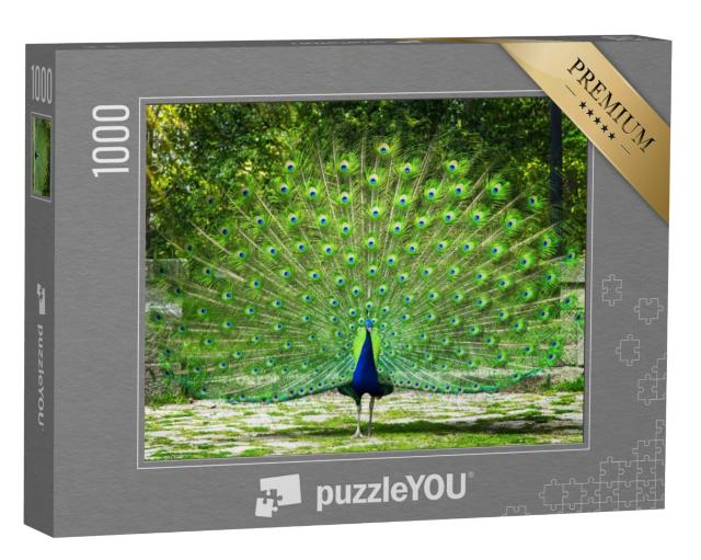 Puzzel 1000 stukjes „Pauw laat zijn staart zien“