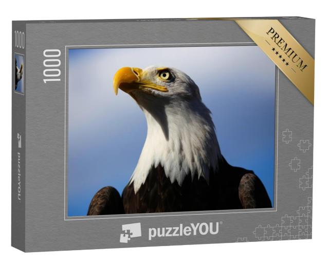 Puzzel 1000 stukjes „Zeearend met blauwe lucht“