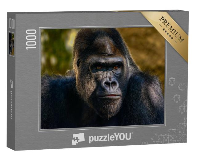 Puzzel 1000 stukjes „Portret van een zilverruggorilla“