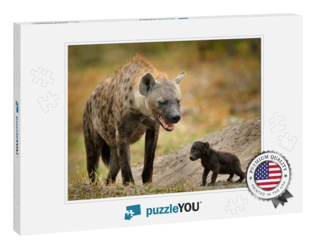 Young Hyena Pup, Mammal Behavior. Hyena, Detail Portrait... Jigsaw Puzzle