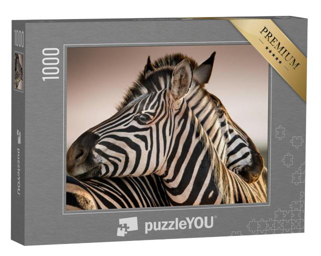 Puzzel 1000 stukjes „Vertrouwde kudde zebra's“