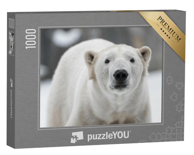 Puzzel 1000 stukjes „Mannelijke ijsbeer, Ursus maritimus in de sneeuw“