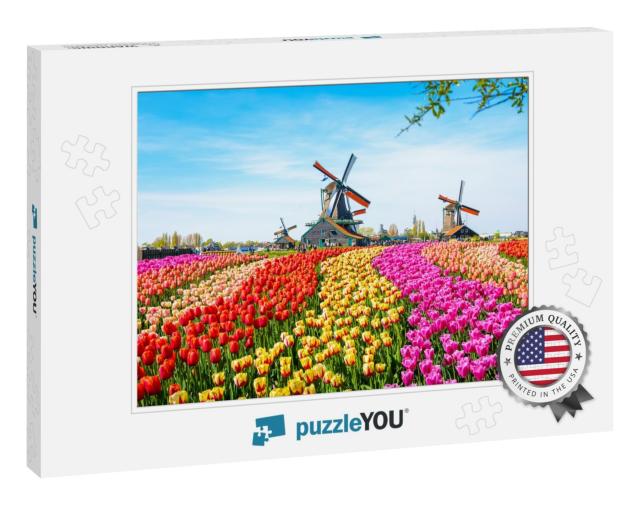 Landscape with Tulips, Traditional Dutch Windmills & Hous... Jigsaw Puzzle