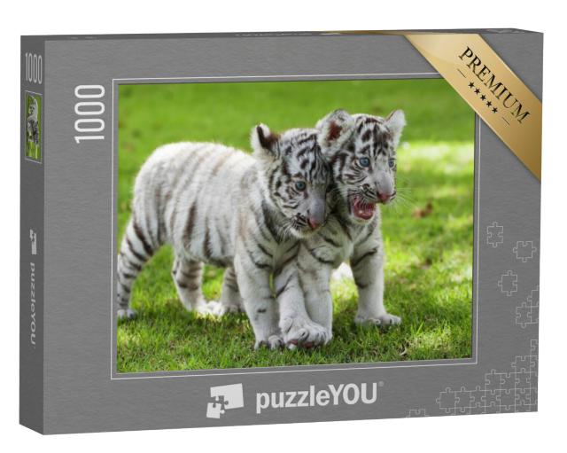 Puzzel 1000 stukjes „Twee witte tieger baby's“