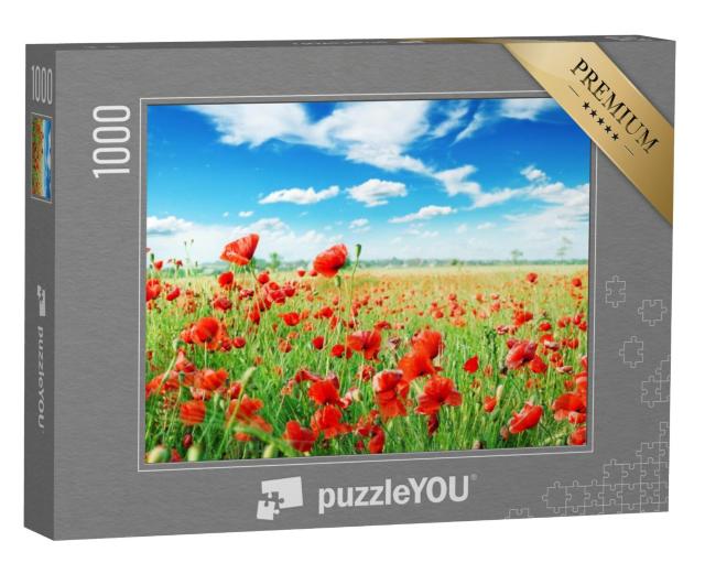 Puzzel 1000 stukjes „Klaprozen op een groene weide“