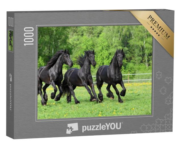 Puzzel 1000 stukjes „Friese paarden galopperen in de wei“