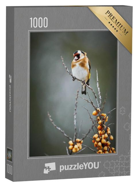 Puzzel 1000 stukjes „De distelvink, een zangvogel“