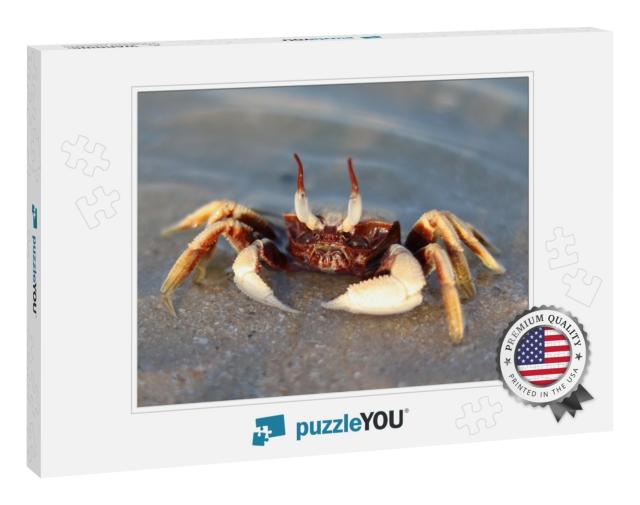 Ghost Eye Crab in the Sea Closed Up... Jigsaw Puzzle