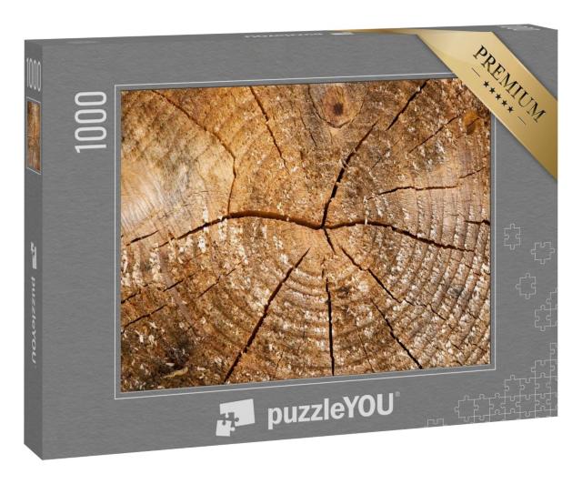 Puzzle 1000 Teile „Verwittertes Holz mit Jahresringen“