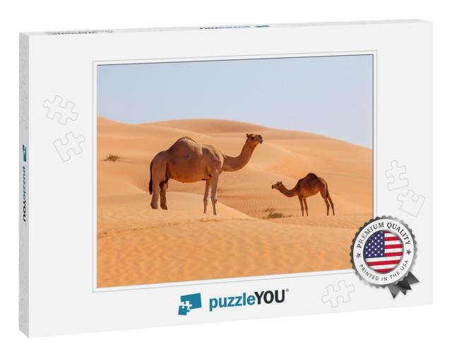 Two Middle Eastern Camels in a Desert... Jigsaw Puzzle