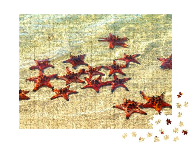 Puzzle 1000 Teile „Seesterne beim Sonnenbad“