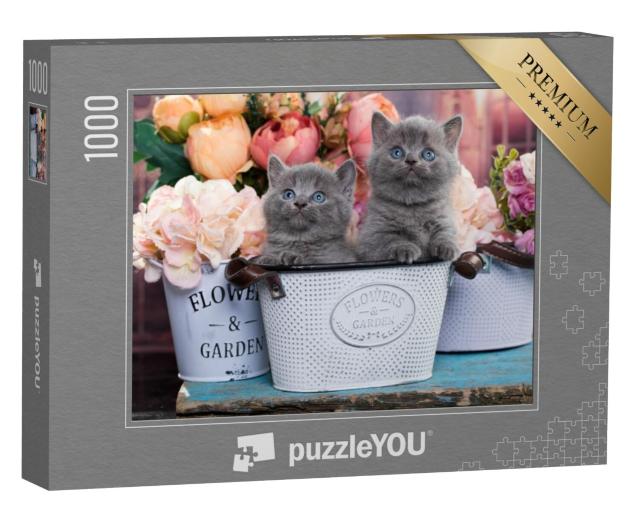 Puzzel 1000 stukjes „Katje in een bloempot“