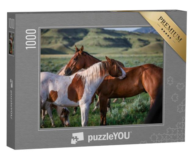 Puzzel 1000 stukjes „Paint pony en ranchpaard, Montana, VS“