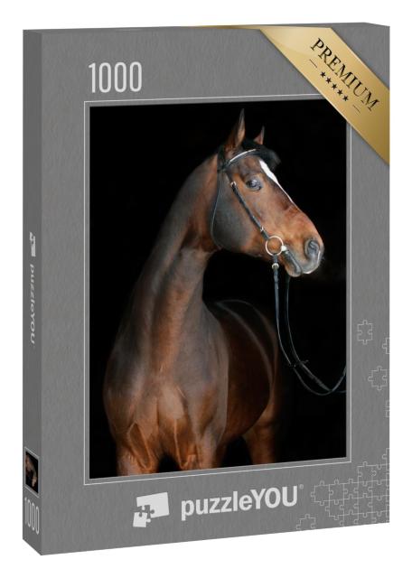 Puzzle 1000 Teile „Farbspiel: Braunes Pferd auf schwarzem Hintergrund“