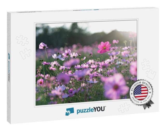 Field of Cosmos Flower... Jigsaw Puzzle
