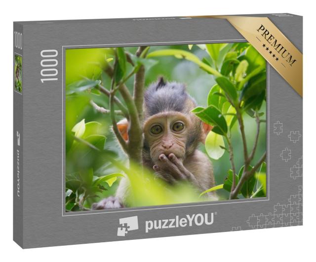 Puzzle 1000 Teile „Ein niedlicher Affe lebt in einem natürlichen Wald in Thailand.“