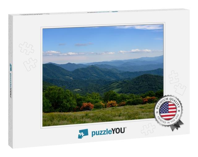 Flame Azalea Bloom on Ridge of Blue Ridge Mountains in Su... Jigsaw Puzzle